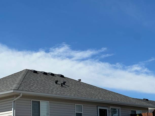 Skylights in Aliquippa, PA